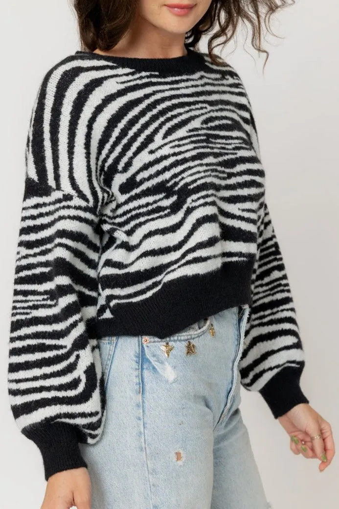 Zebra Print Cropped Sweater